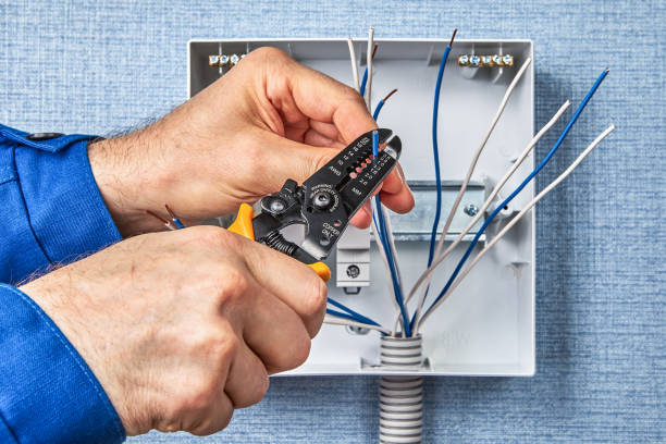 Best Electrical Panel Upgrades  in North Muskegon, MI